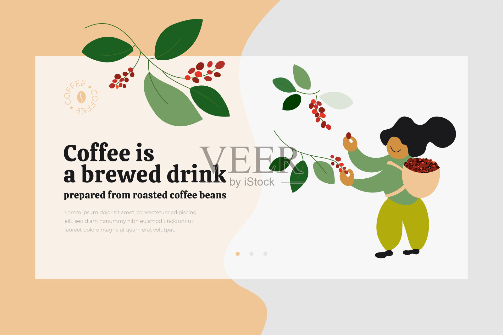 咖啡豆模板与采摘器插画图片素材