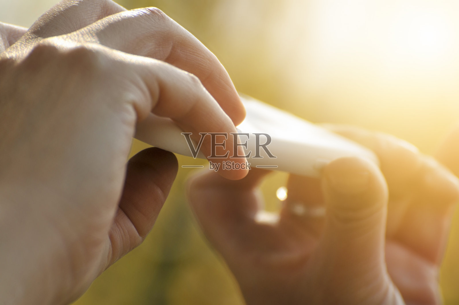 女人用智能手机在阳光下拍摄腊梅照片摄影图片
