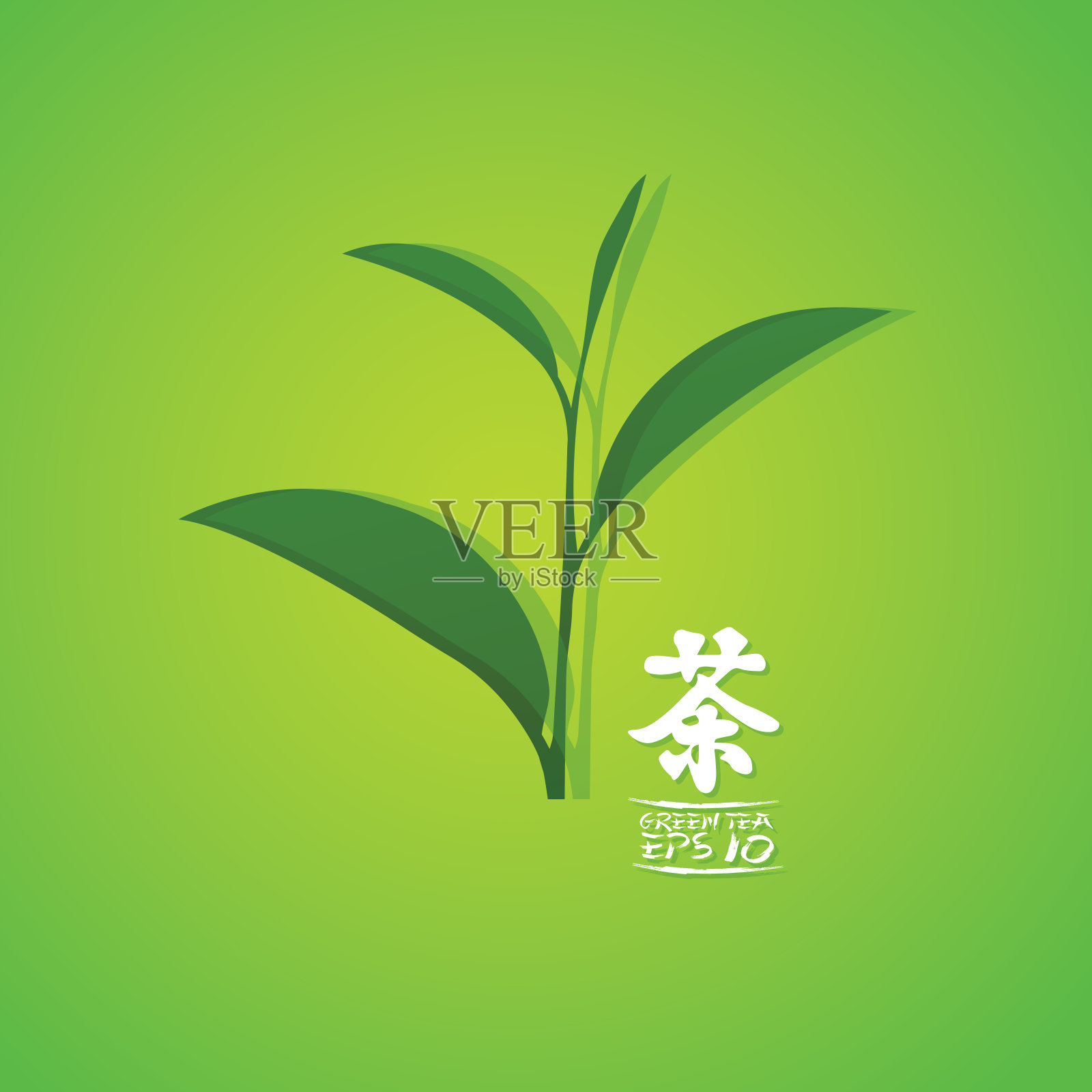 优质绿茶为健康载体。插画图片素材