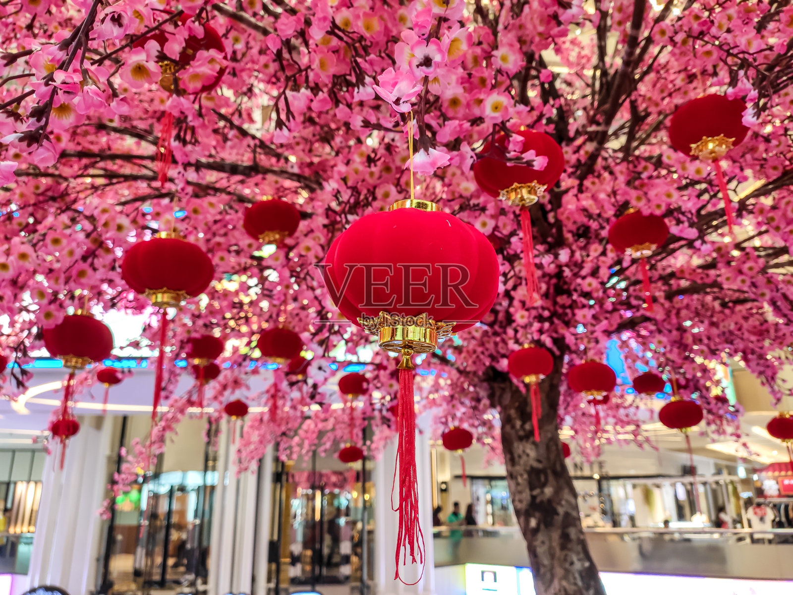 红灯笼在粉红色的树，中国新年照片摄影图片