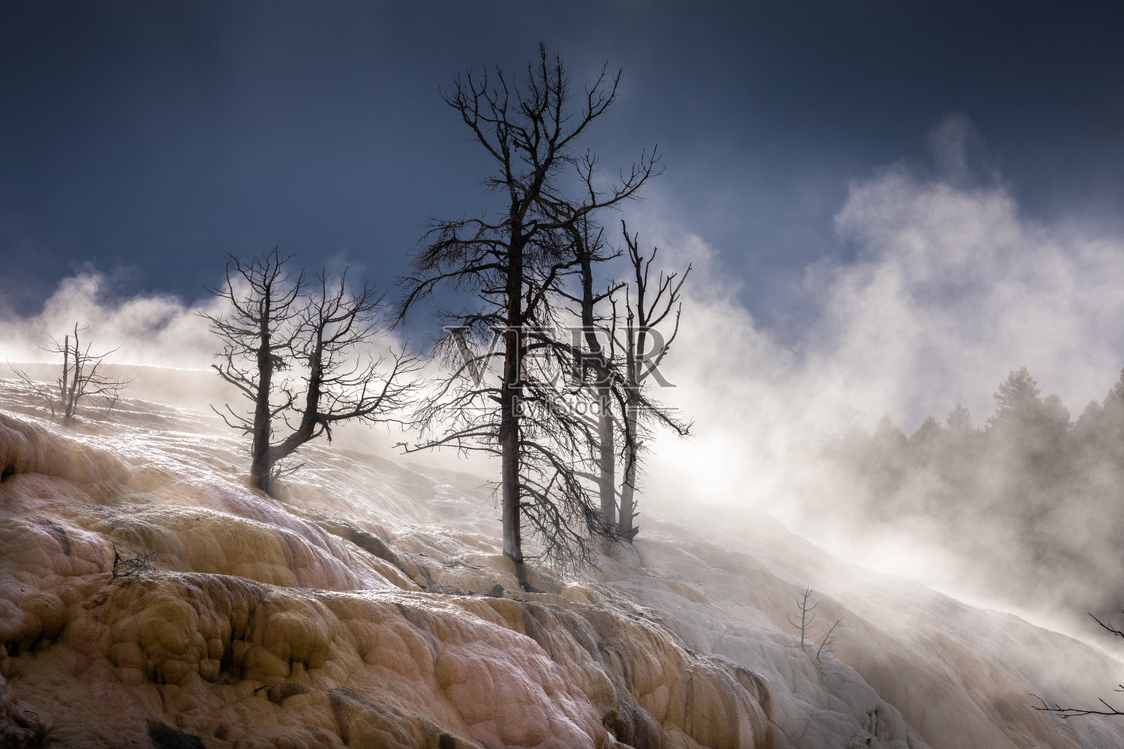 美国怀俄明州黄石的猛犸温泉。照片摄影图片