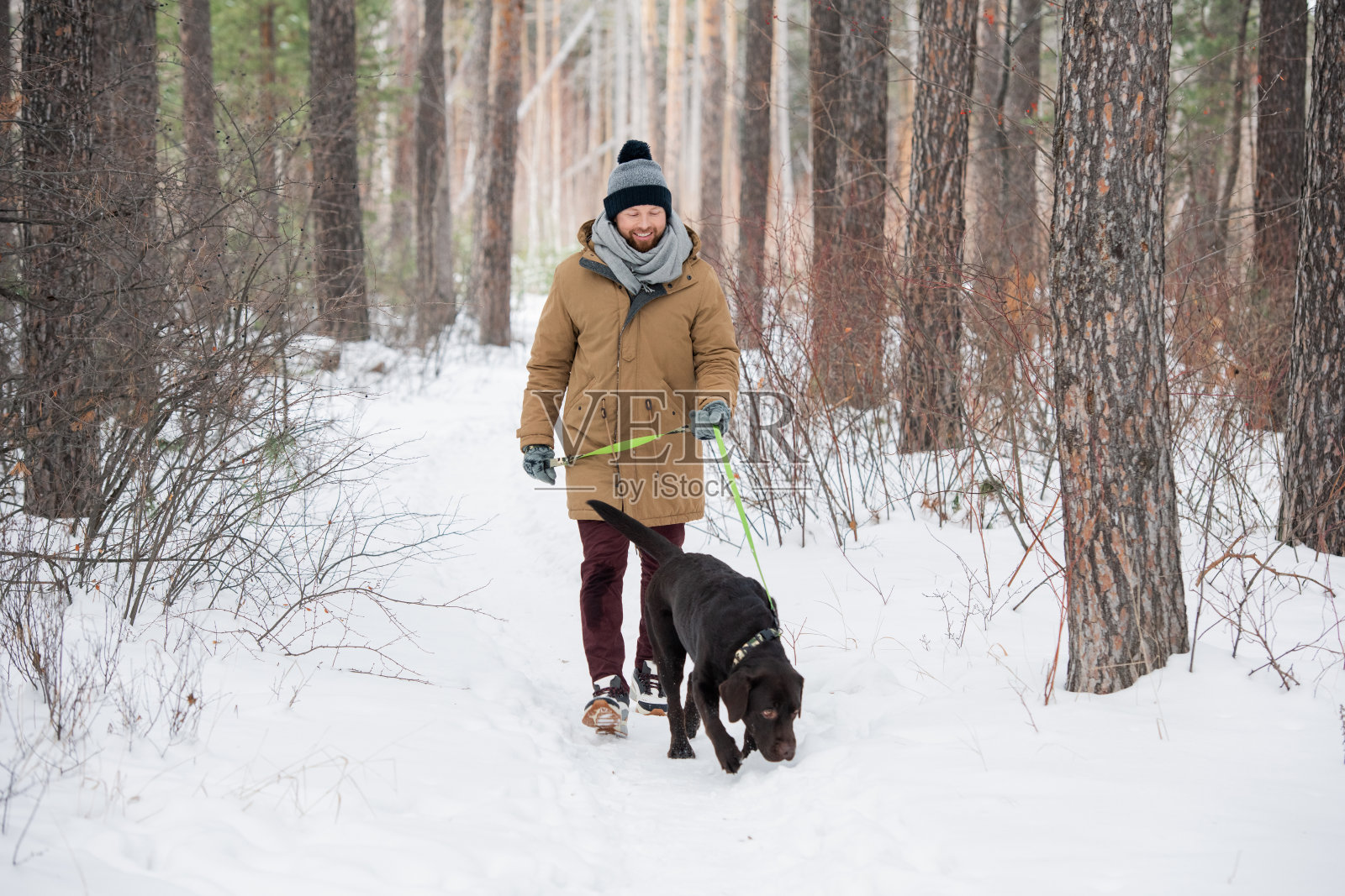 快乐的年轻人在冬天穿着皮带黑色猎犬在寒冷照片摄影图片