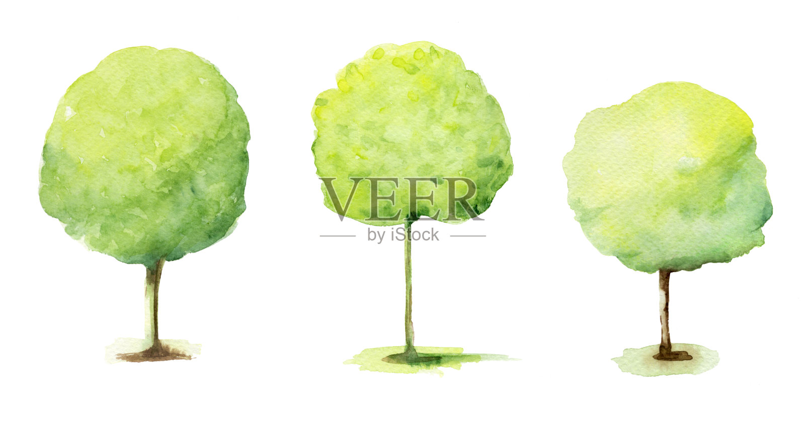 插图一套绿色手绘水彩树孤立在白色插画图片素材