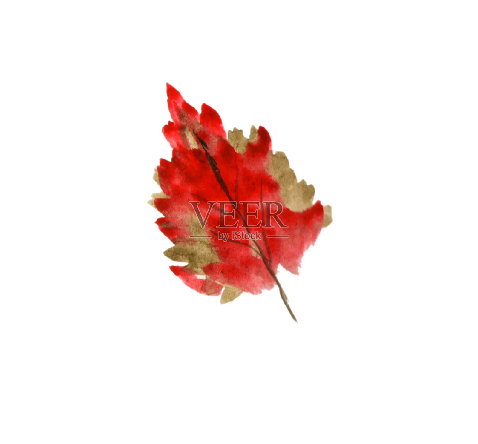 水彩手绘红色，棕色的树叶孤立在白色的背景。插画图片素材