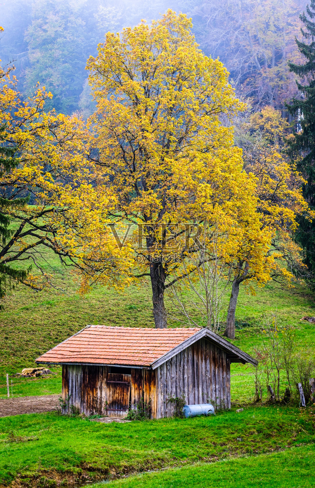 欧洲阿尔卑斯山上的一间旧小屋照片摄影图片