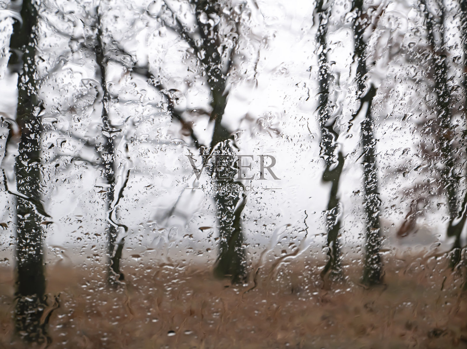 在秋雨的天气透过潮湿的窗户在树上观看。照片摄影图片