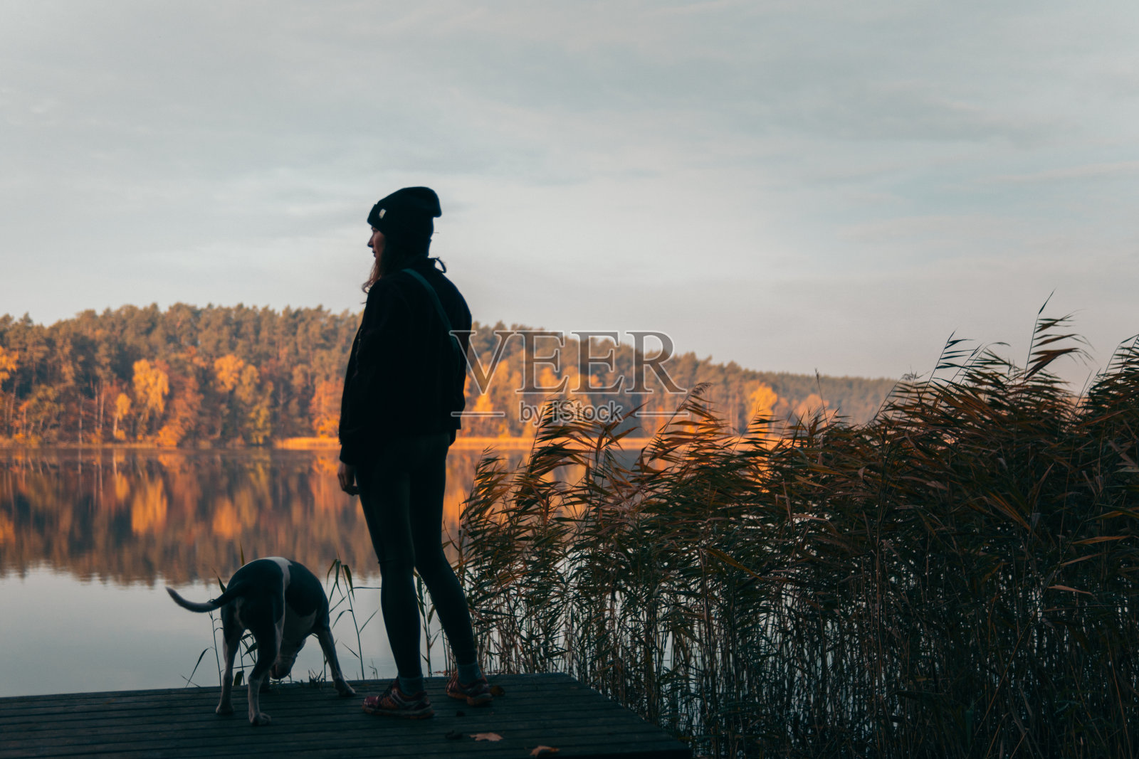 秋天的女孩和狗在湖边散步照片摄影图片