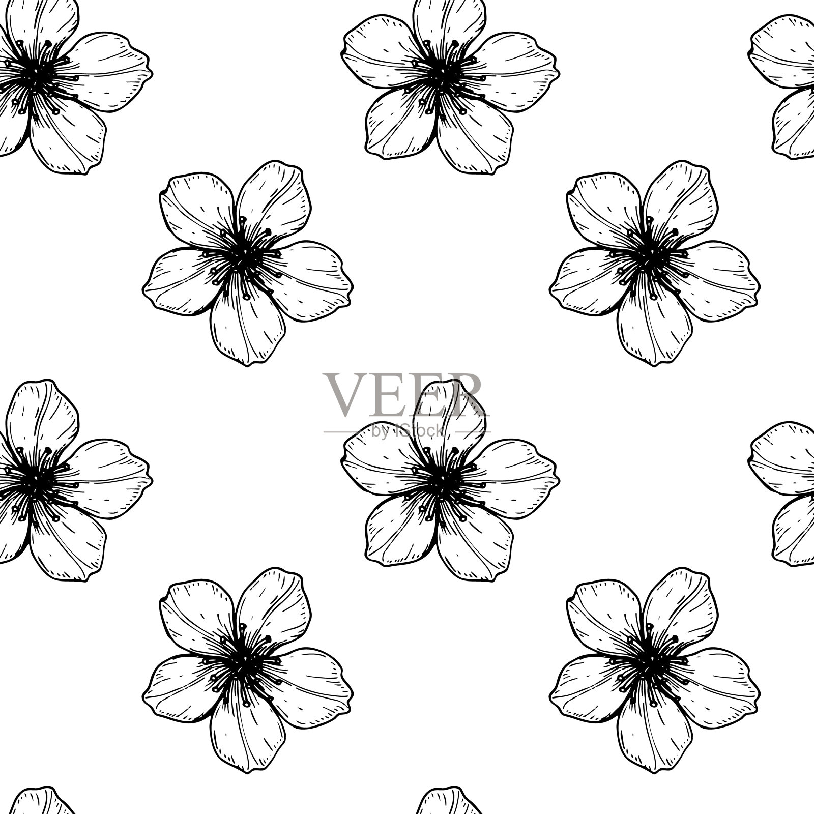 花卉无缝图案与手绘的春天樱花。矢量插图素描风格孤立在白色。插画图片素材