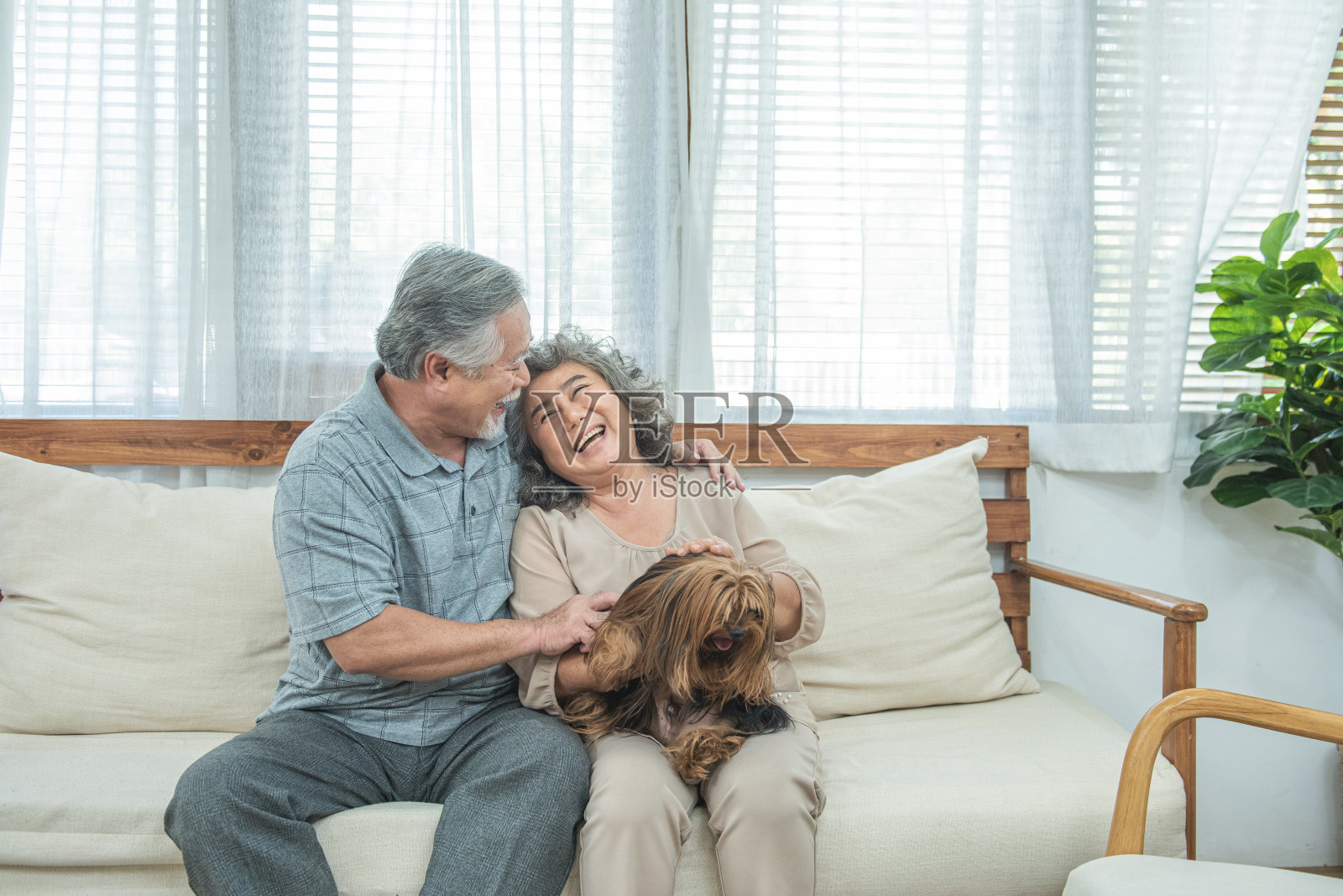 退休的男人和女人抱着狗坐在家里客厅的沙发上。照片摄影图片