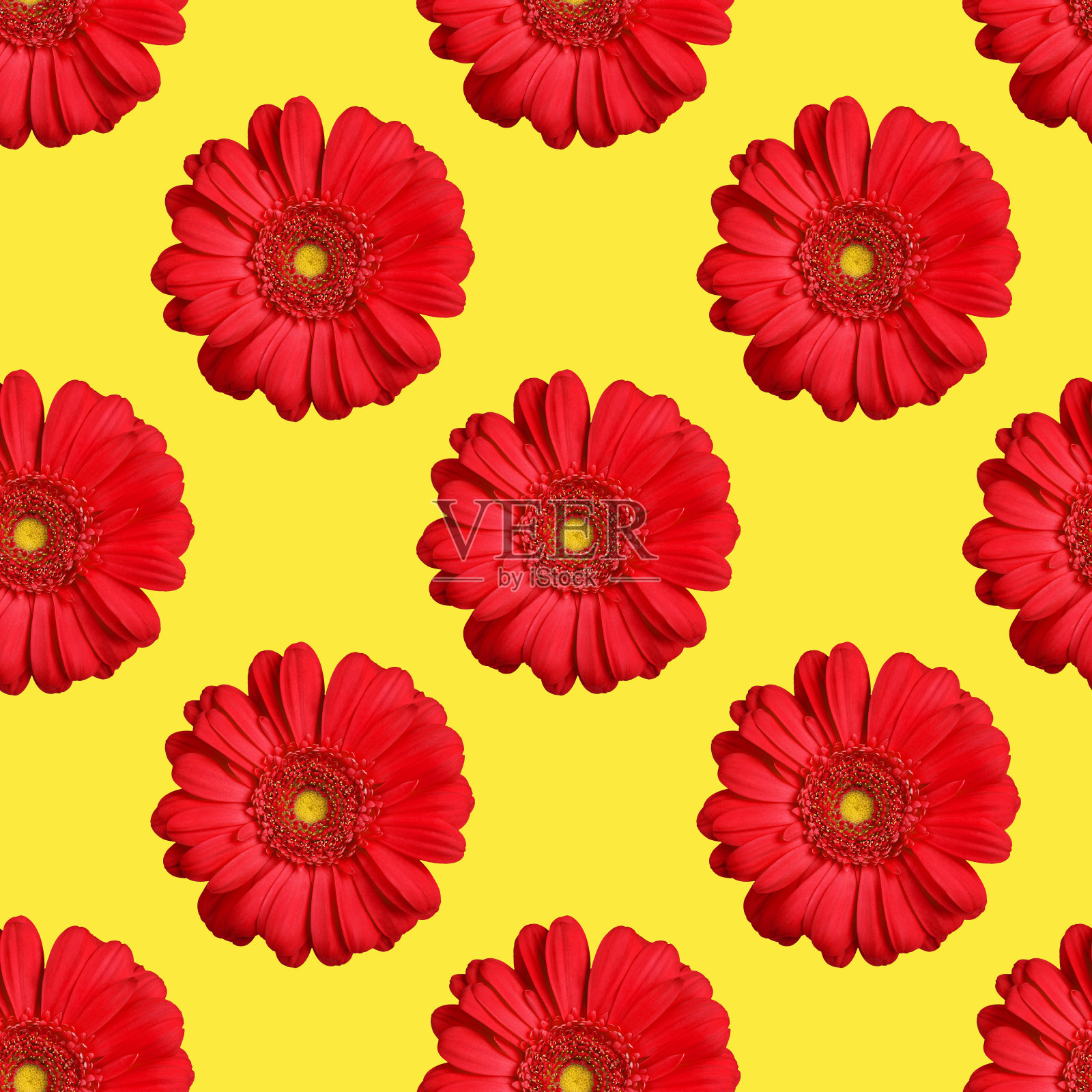 无缝图案的红色非洲菊花在黄色背景孤立，明亮的橙色雏菊花重复点缀，美丽的夏季充满活力的颜色花墙纸，生动的装饰印花背景照片摄影图片