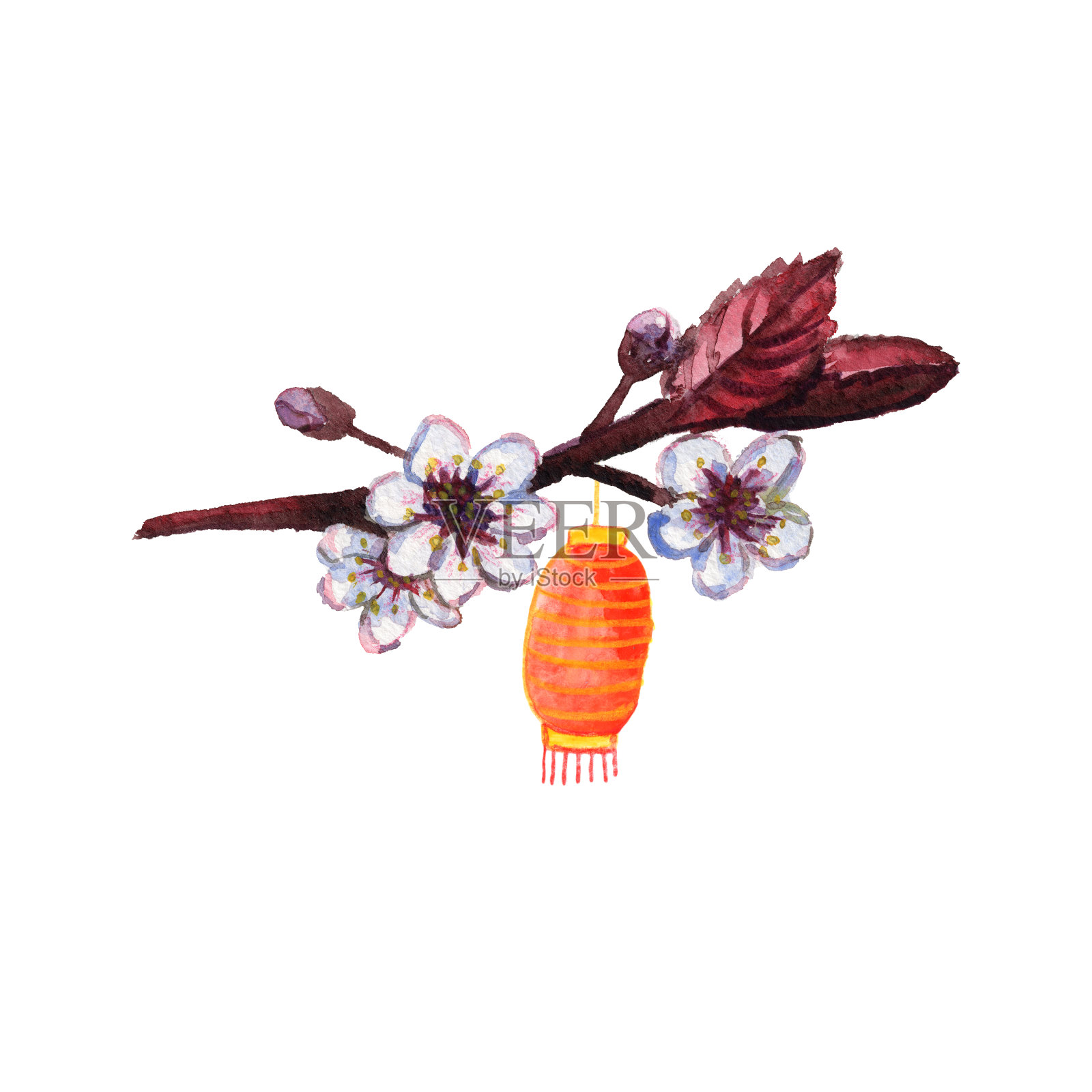红色和黄色的中国灯笼和樱花。植物学插图。手绘水彩和彩色铅笔。2020年中国新年。适用于贺卡、印刷品及设计插画图片素材