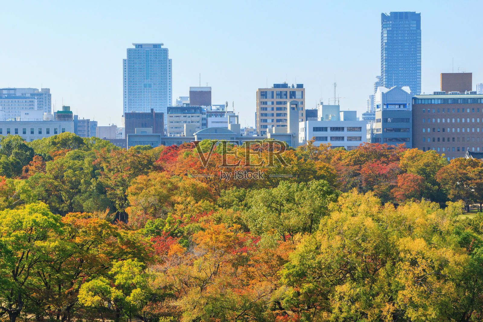 鸟瞰秋天的大阪市容照片摄影图片
