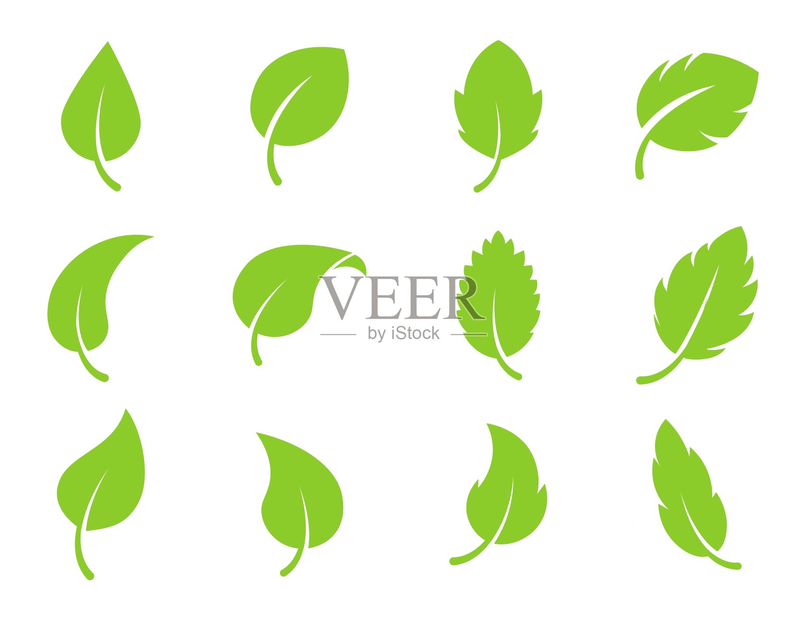 生态叶绿色矢量标志平面图标设置。孤立的叶子形状在白色背景上。生物植物和树木花林概念设计设计元素图片