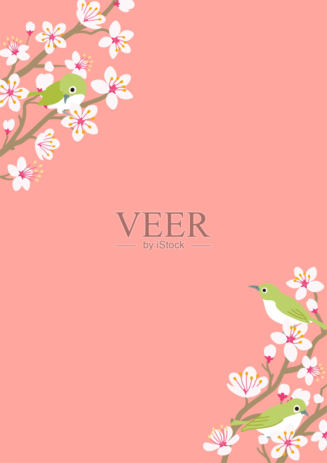 三只小鸟栖息在樱花枝上，垂直布置插画图片素材