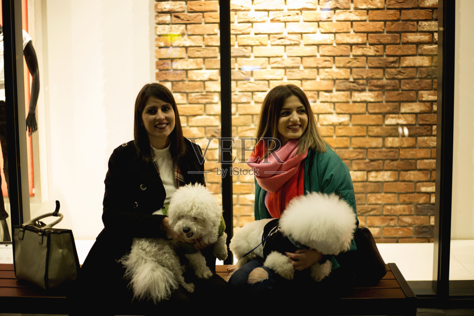 两个年轻的女人坐在长椅上，抱着两只小狗照片摄影图片