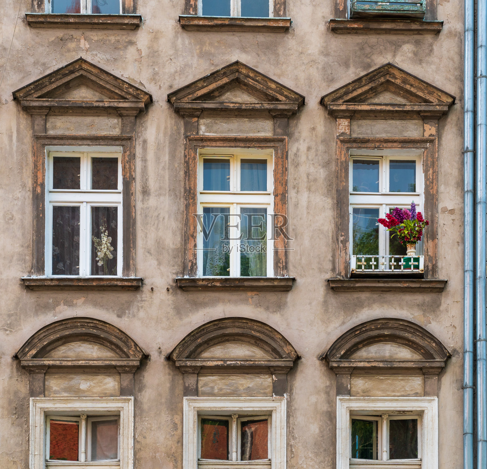 在弗罗茨瓦夫，风化和污迹斑斑的房子立面上有一排排的窗户，窗台上有一束充满活力的鲜花，全框特写照片摄影图片