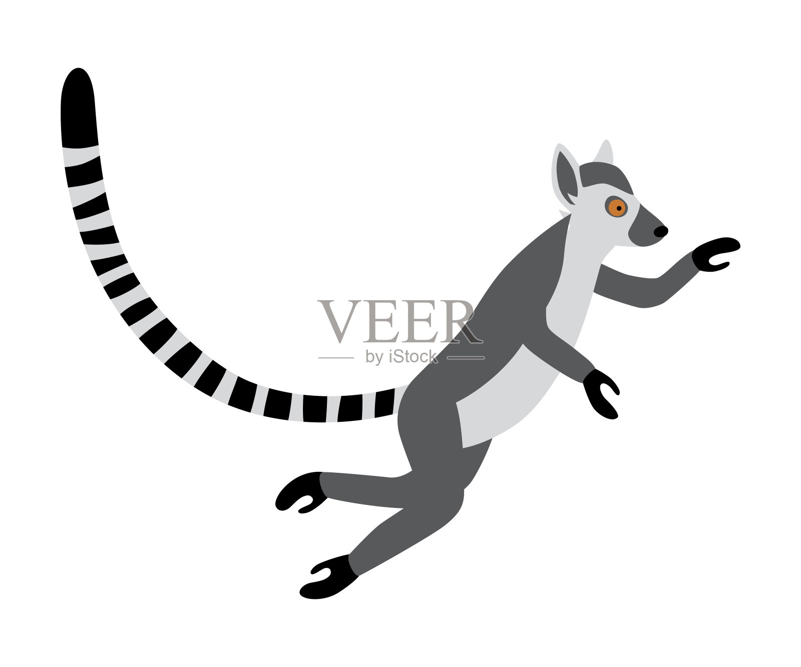 可爱有趣的环尾狐猴跳。奇异的狐猴雌猫。矢量插图在卡通和平面风格设计元素图片