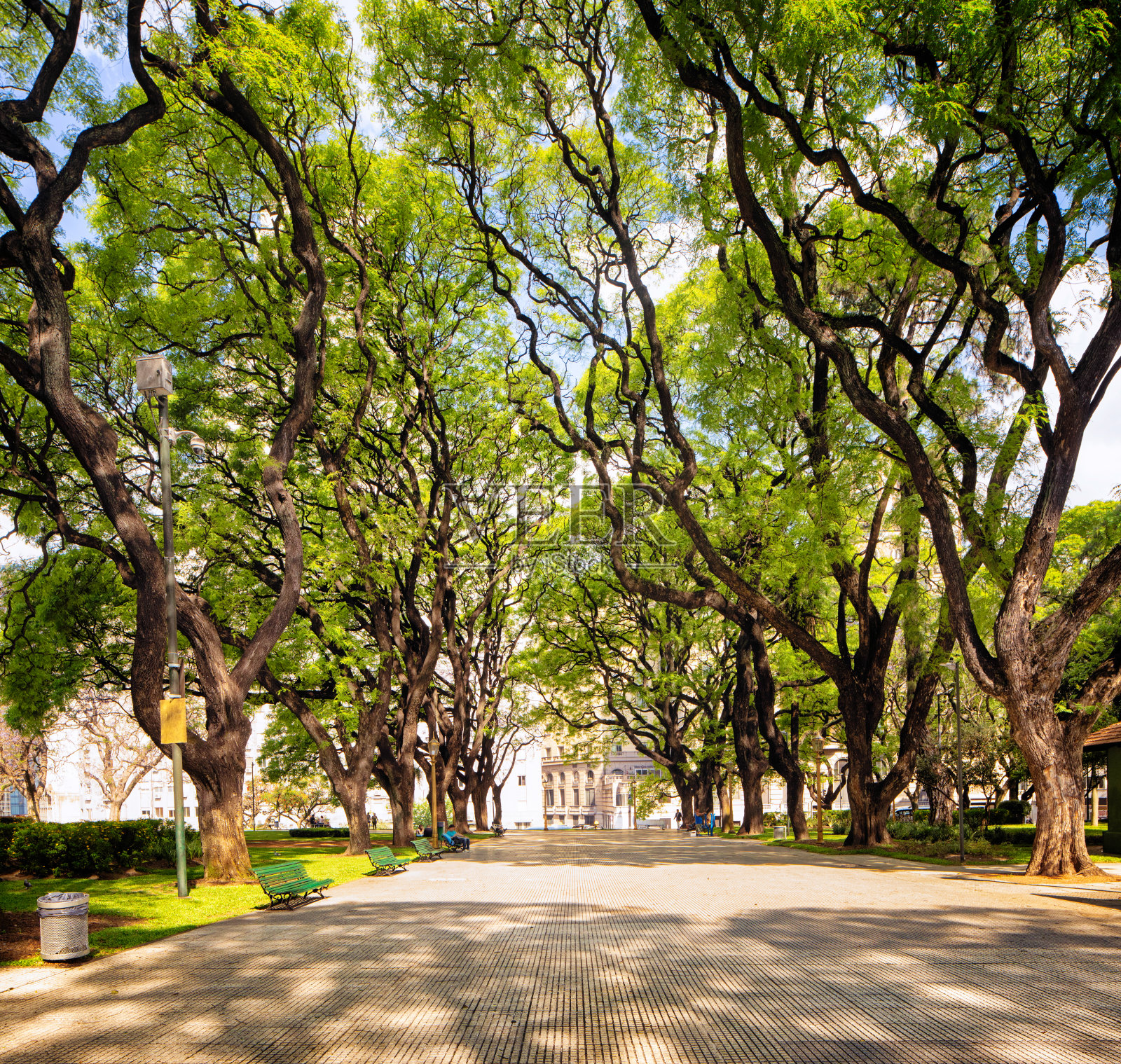 布宜诺斯艾利斯广场上将圣马丁公园白天的春天景象照片摄影图片