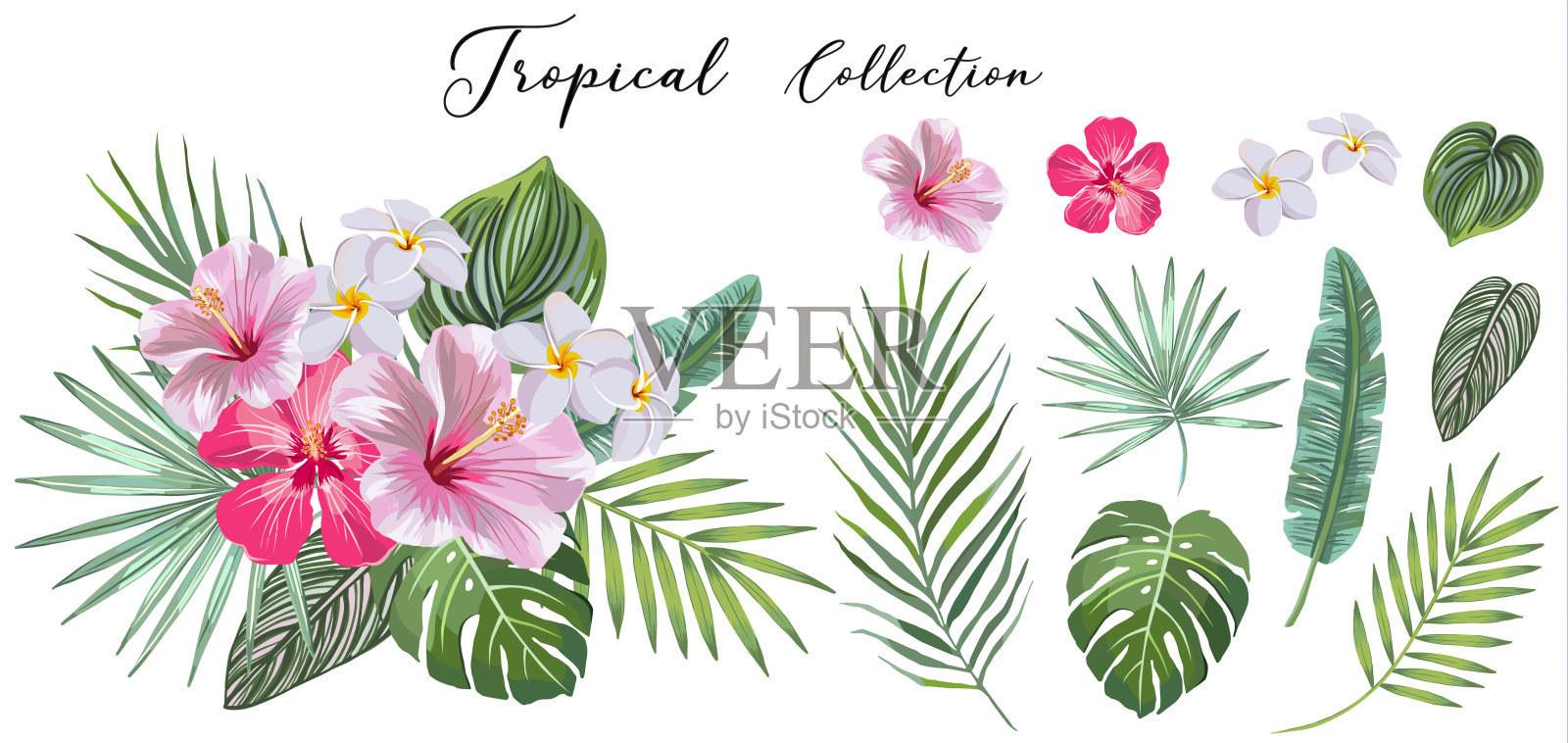 手绘一套热带树叶和花朵。矢量设计理念插画图片素材