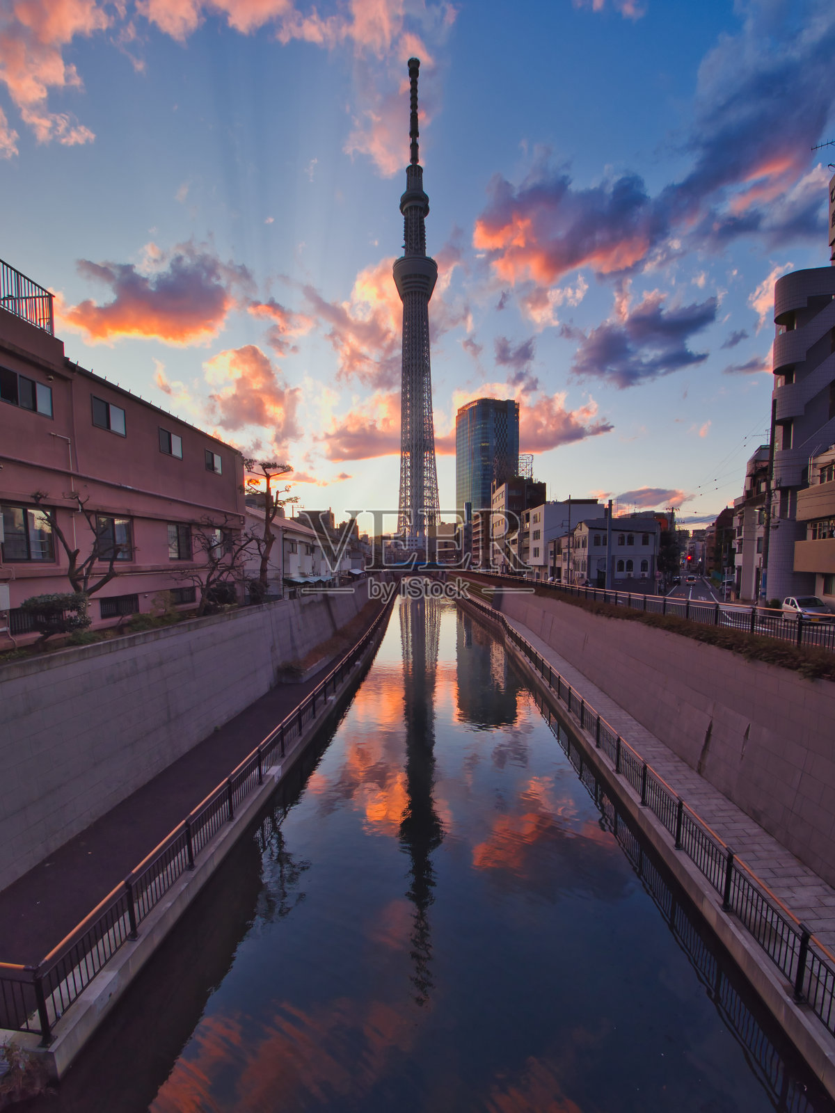 日本的最高天空树照片摄影图片