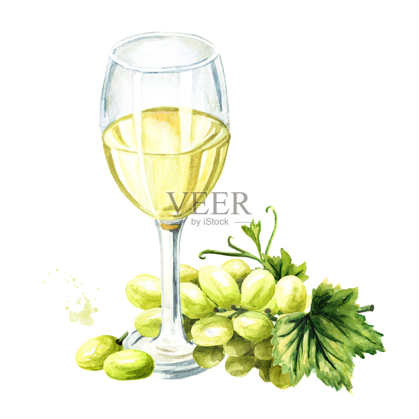 白葡萄酒杯，葡萄叶和浆果。手绘水彩插图，孤立的白色背景插画图片素材