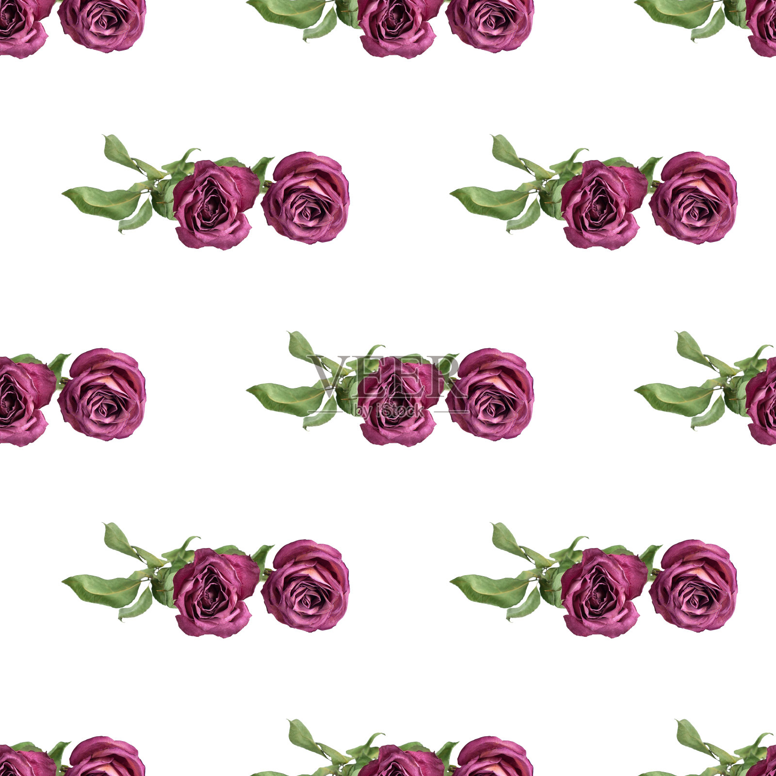无缝图案粉红玫瑰花与绿叶在白色背景孤立近距离，紫红色玫瑰重复点缀，红色花朵印花，紫色花卉艺术背景，浪漫的复古墙纸照片摄影图片