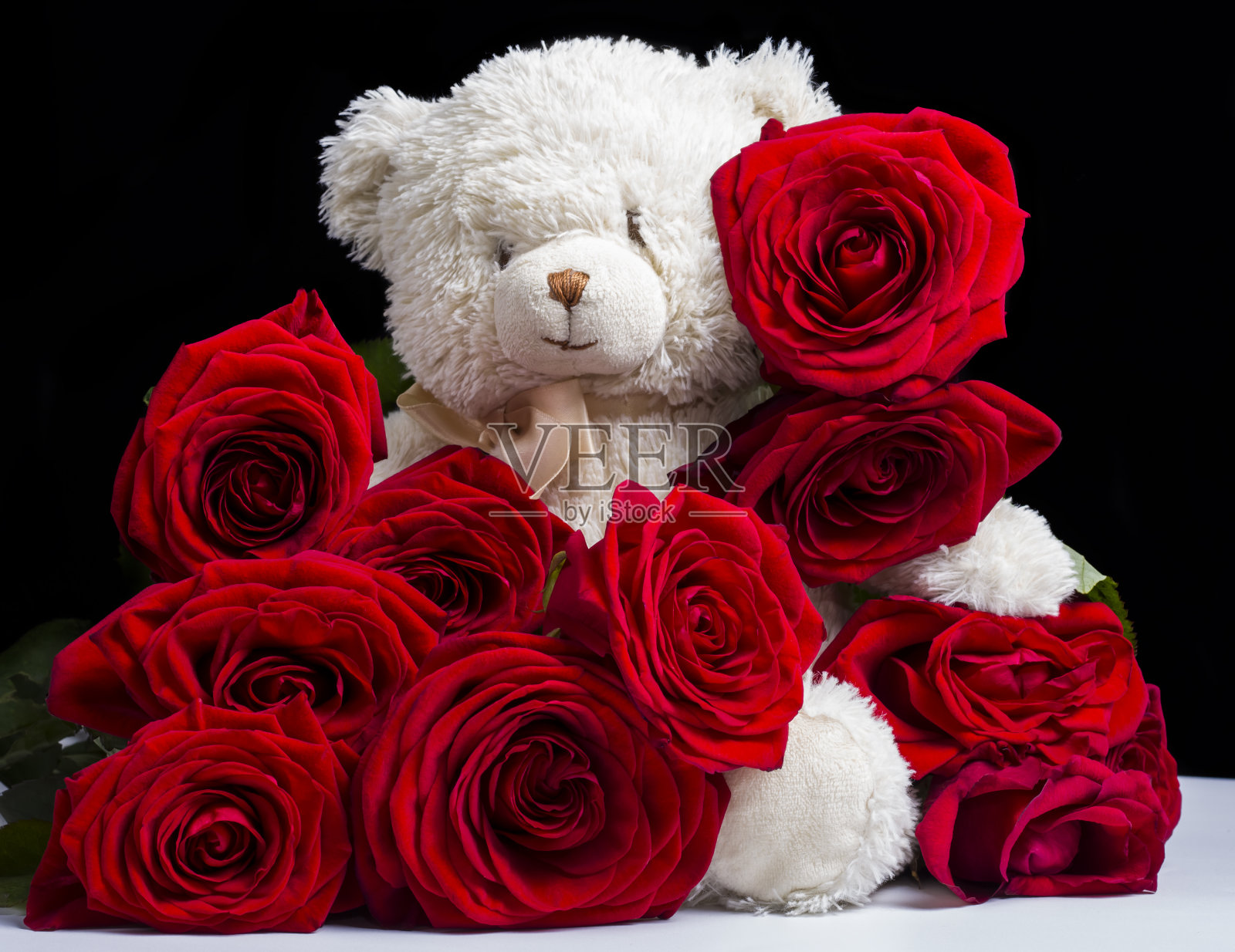 玩具熊在红色的新鲜玫瑰在黑色的背景照片摄影图片