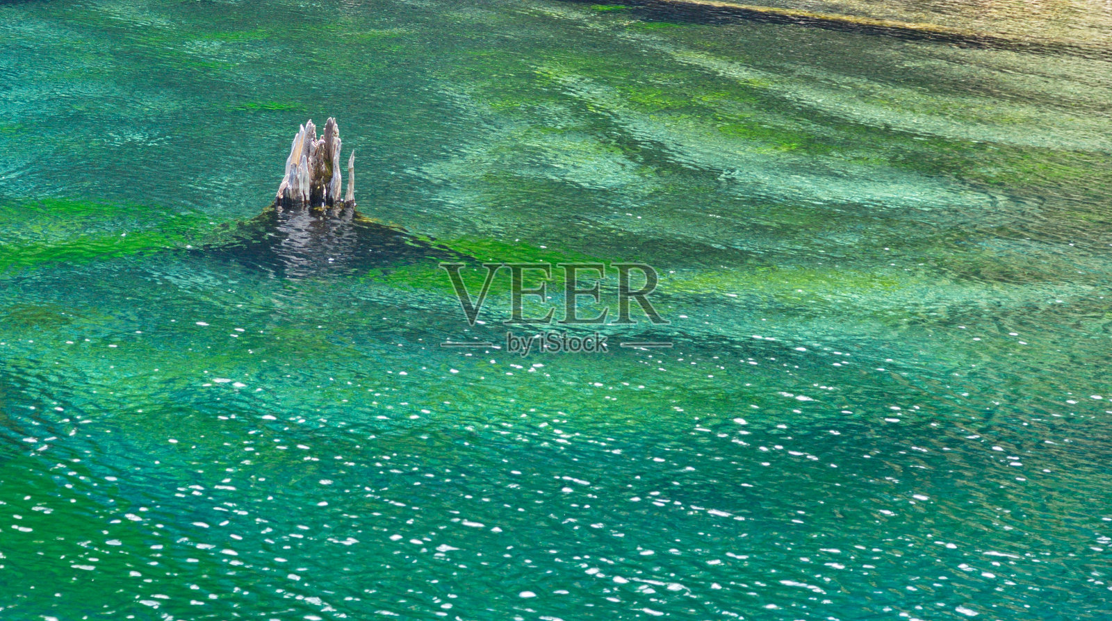 绿松石和绿色的色彩缤纷的水照片摄影图片