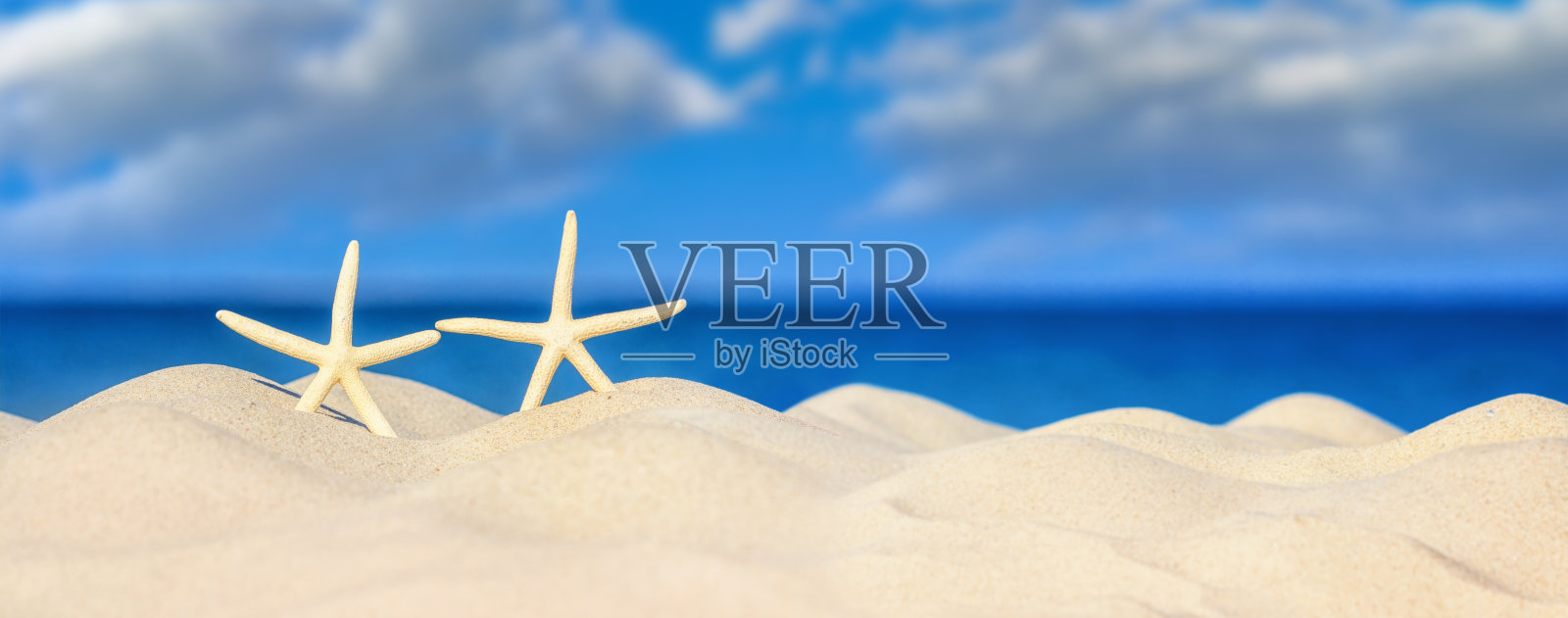 沙滩上的两只海星，一个夏日度假或度假的概念，沙滩旅游照片摄影图片