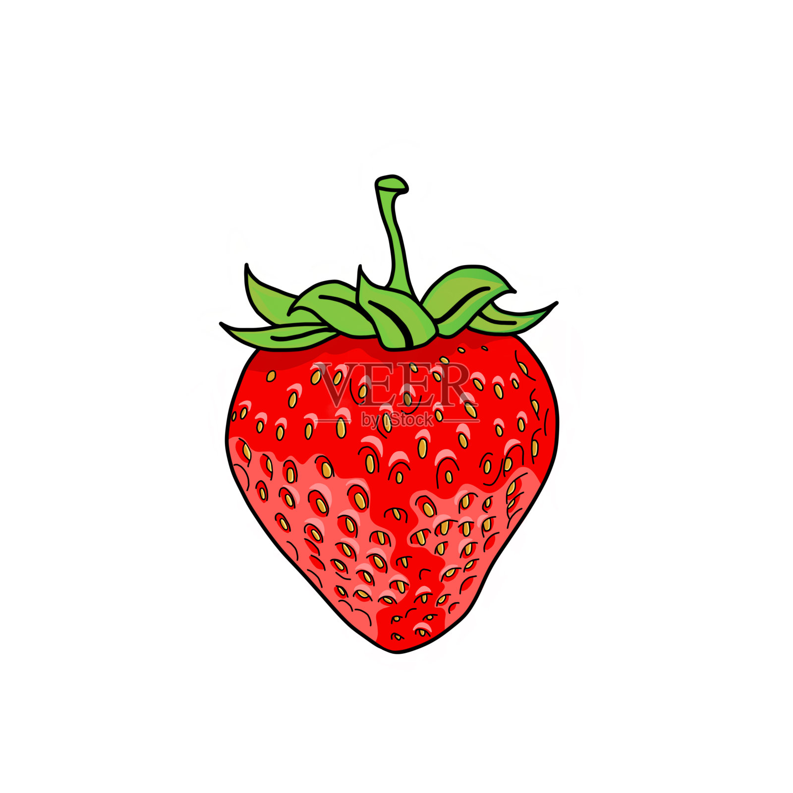 草莓在白色的背景，插图插画图片素材