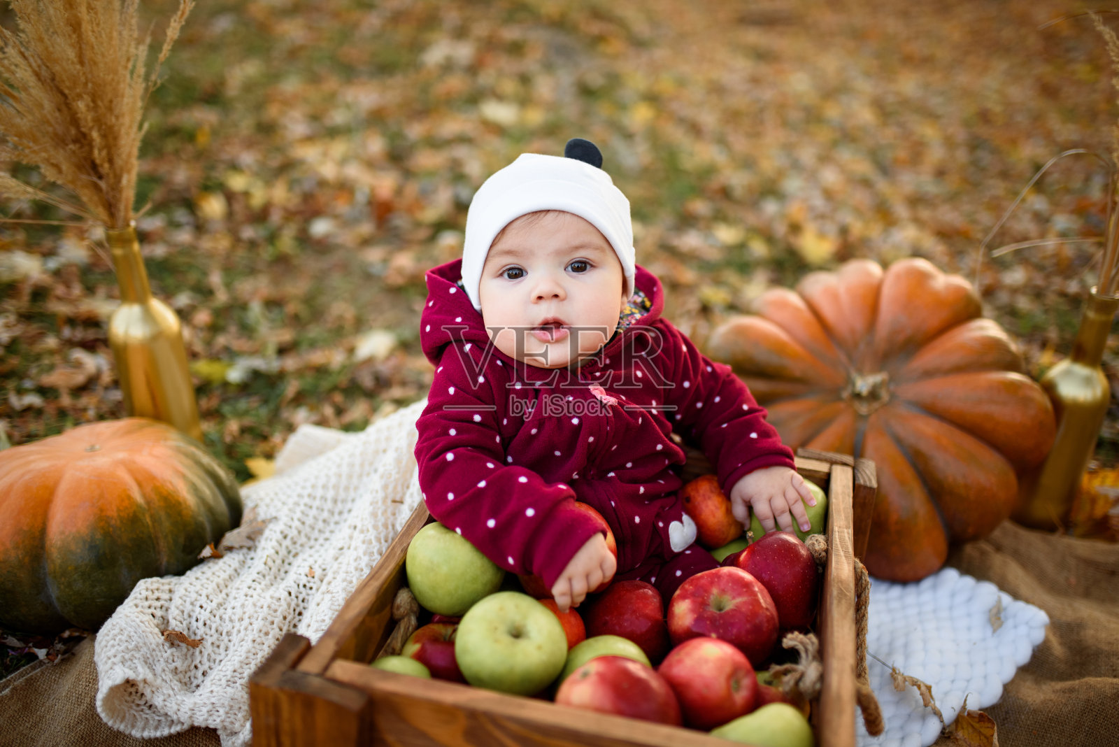 小女孩选择了一个苹果作为第一次喂食照片摄影图片
