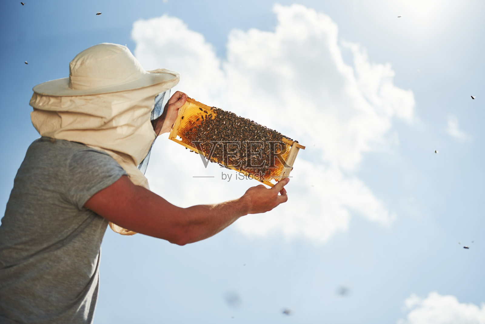 温暖的天气。晴朗的天空。养蜂人在阳光灿烂的日子里在户外用装满蜜蜂的蜂巢工作照片摄影图片