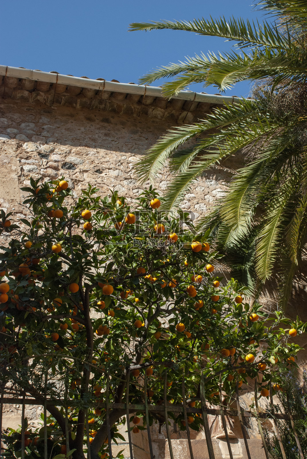 地中海背景:巴利阿里岛马略卡岛上的西班牙石砌房屋，有棕榈树和橘子树照片摄影图片