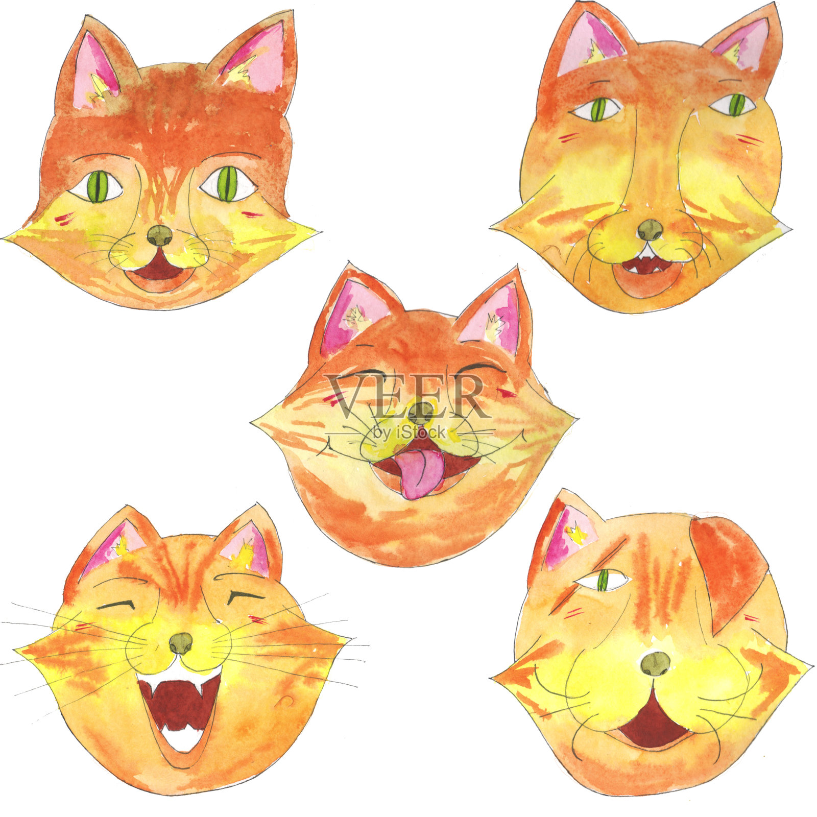 一组五个狐狸猫头。插画图片素材