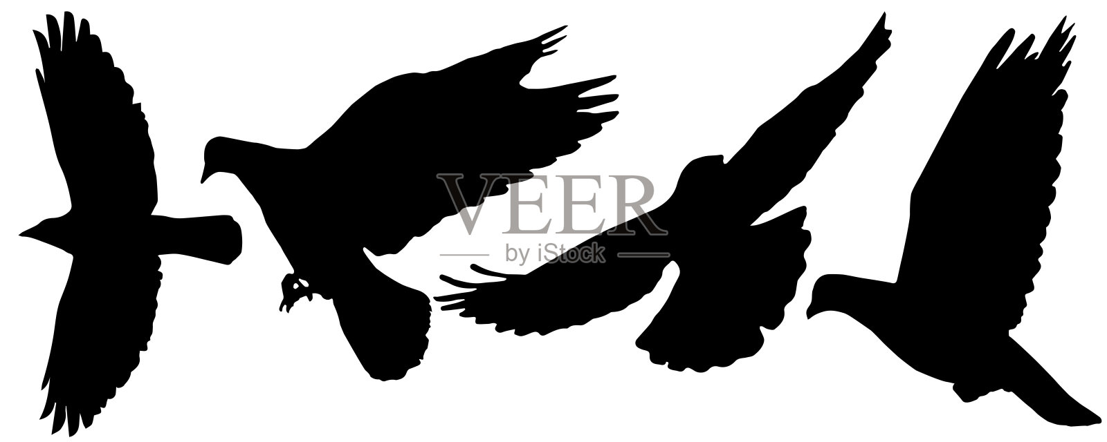 飞翔的鸟(鸽子，乌鸦)的剪影，矢量插图。设计元素图片