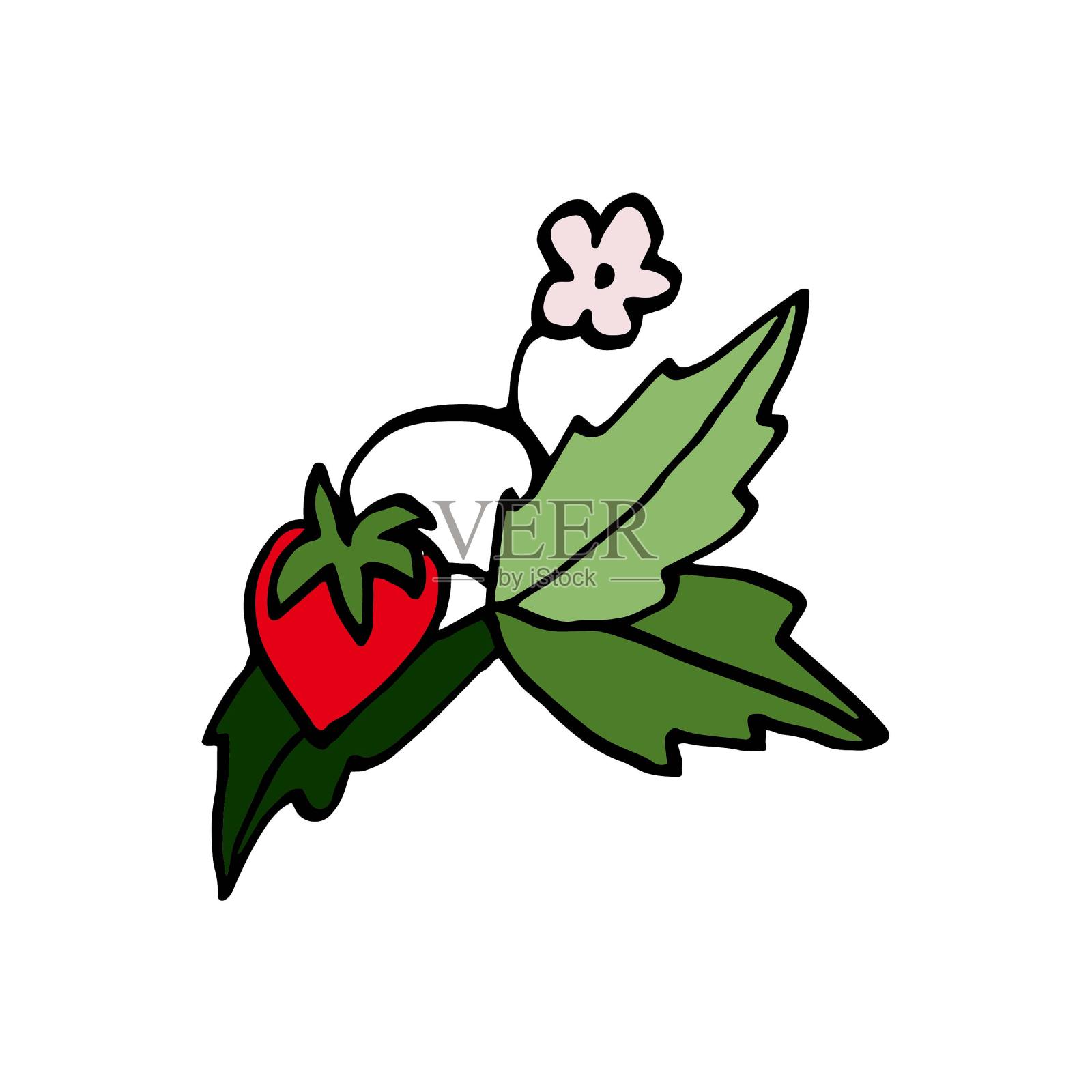 孤立在白色背景图片草莓在一个树枝上，手绘，涂鸦，矢量设计元素图片