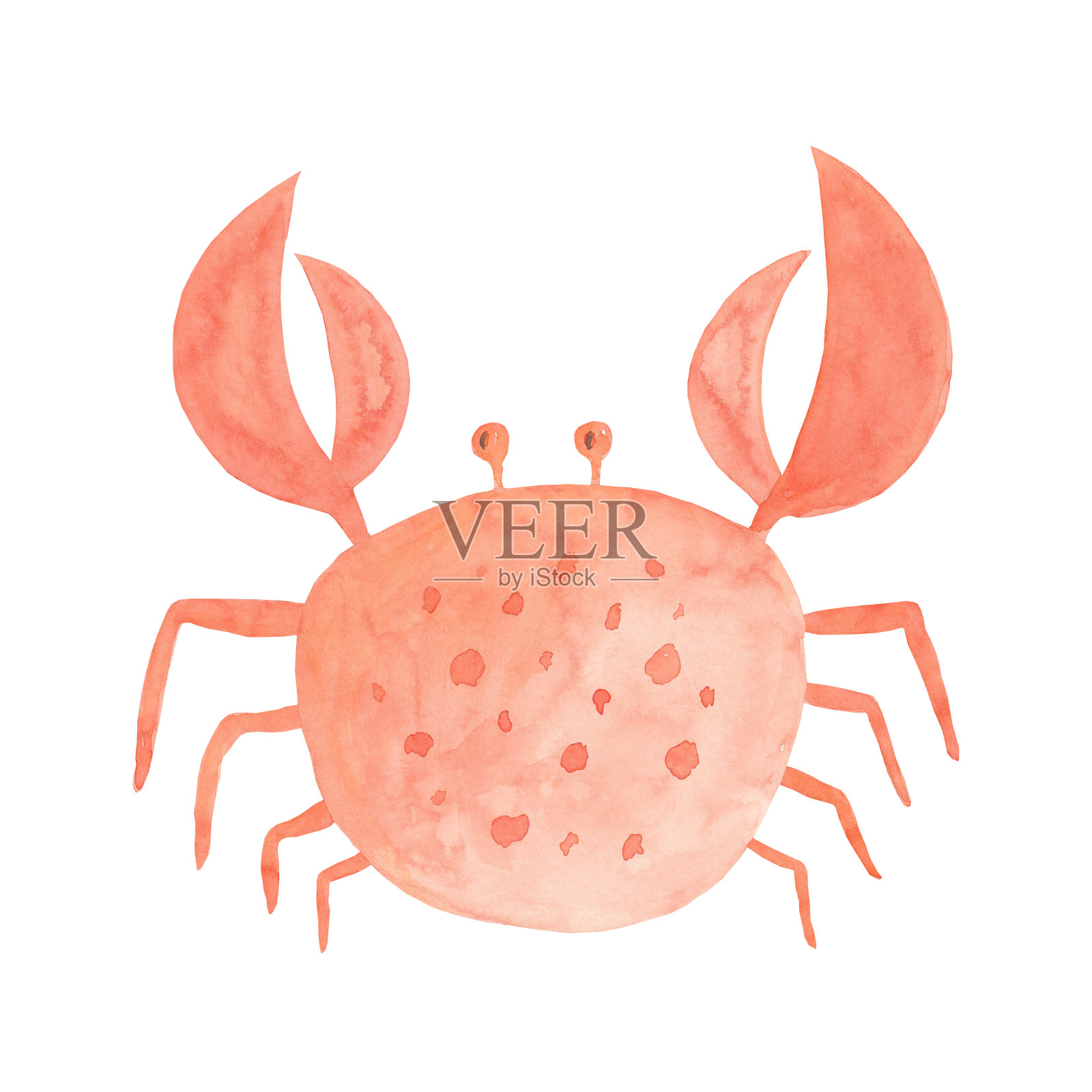 水彩元素的海洋主题-螃蟹在白色的背景。手绘插图。新鲜的海洋有机海鲜。完美的标志，菜单，装饰，餐厅，食品标签，包装。插画图片素材