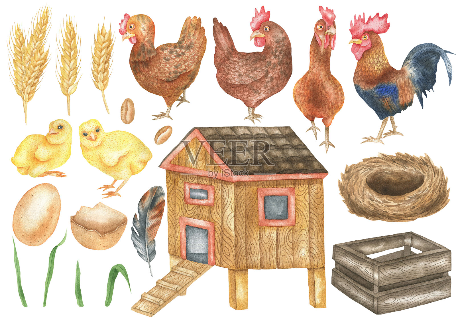 一组母鸡，小鸡，鸡舍插画图片素材