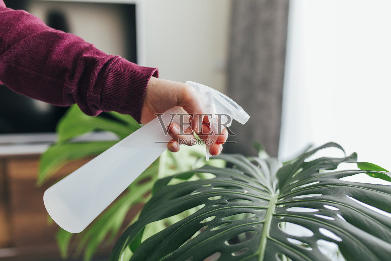 女人浇灌植物照片摄影图片