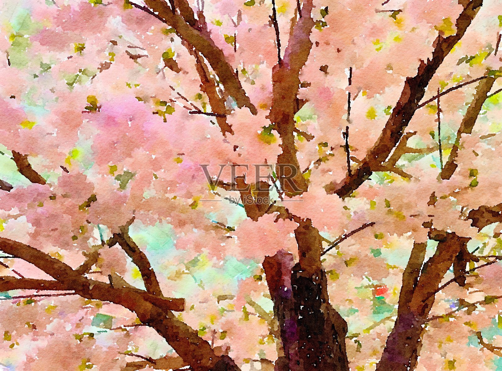 樱花的水彩画插画图片素材