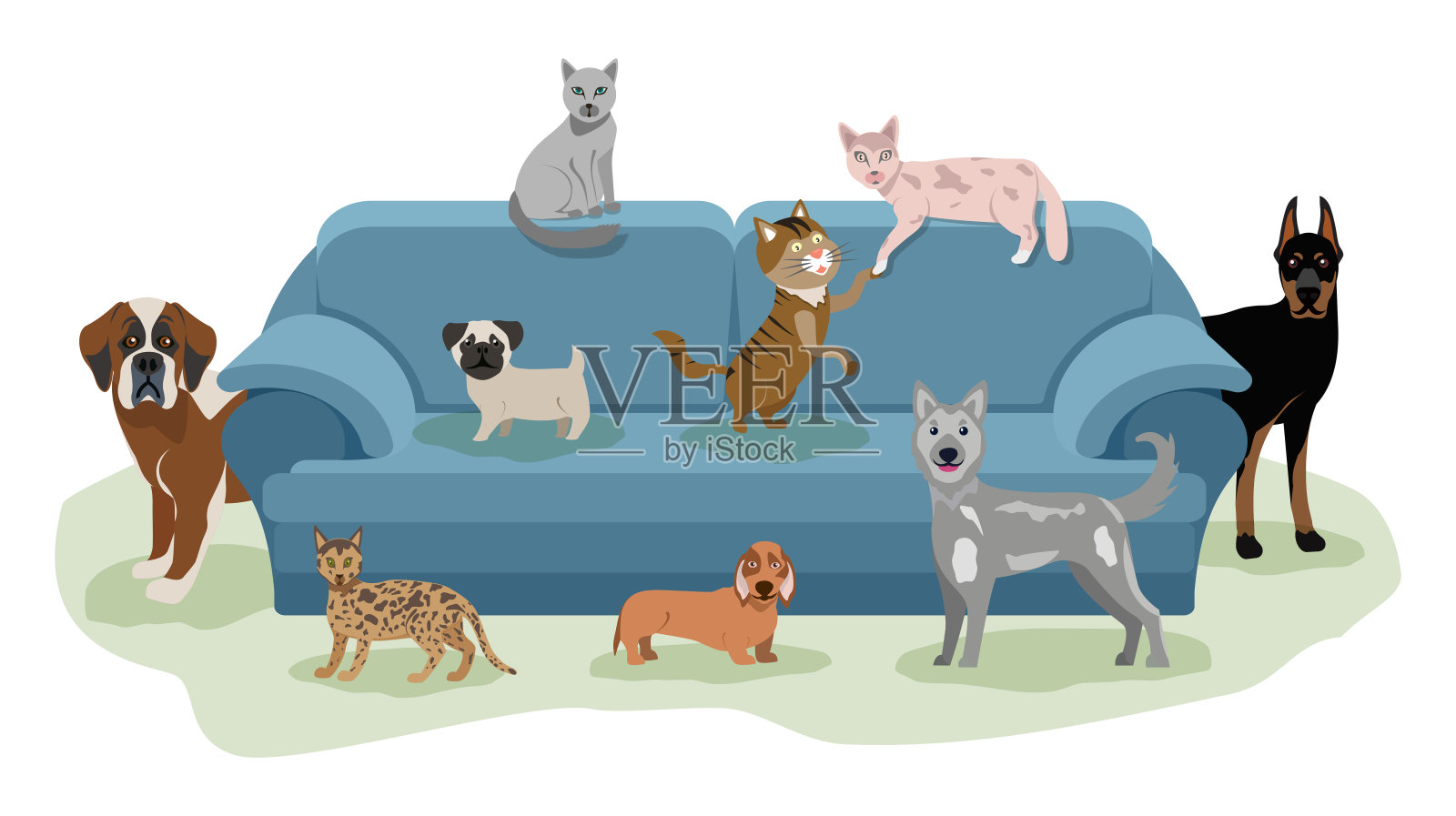 快乐的宠物在沙发上休息。猫和狗躺在沙发附近散步。动物的友谊。矢量图插画图片素材
