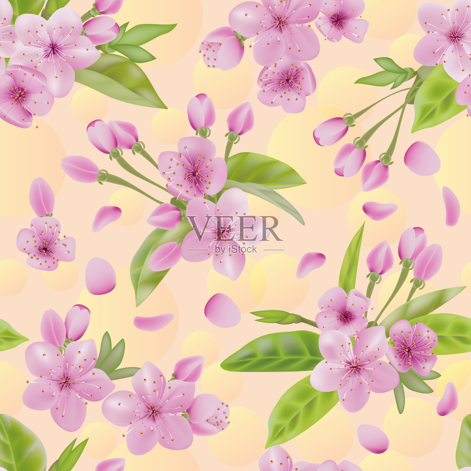 春天盛开的粉红色樱花或樱花枝。为季节性的春季销售，模板贺卡或婚礼邀请插画图片素材