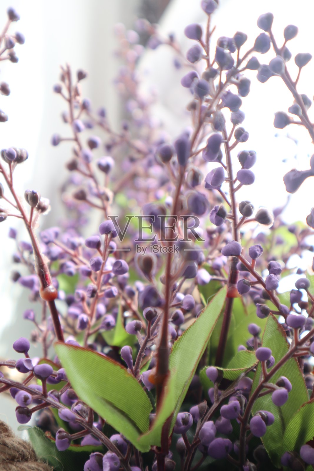 紫色花盆装饰照片摄影图片