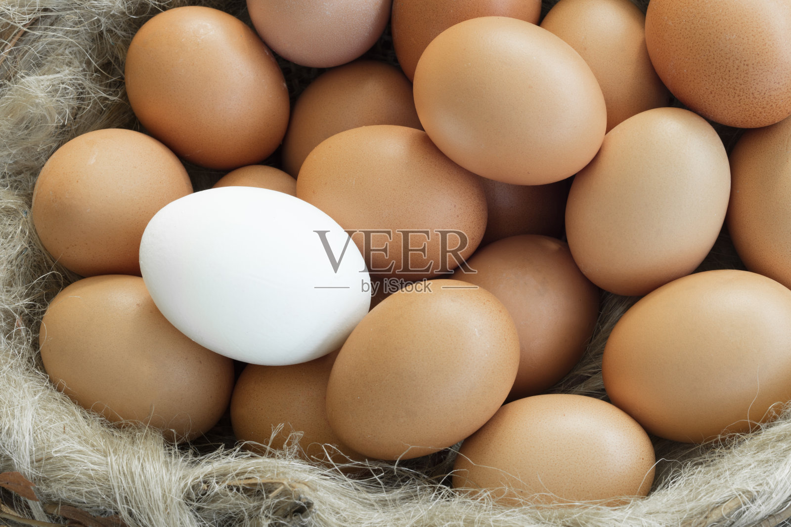 一组棕色的鸡蛋和一个白色的鸡蛋照片摄影图片
