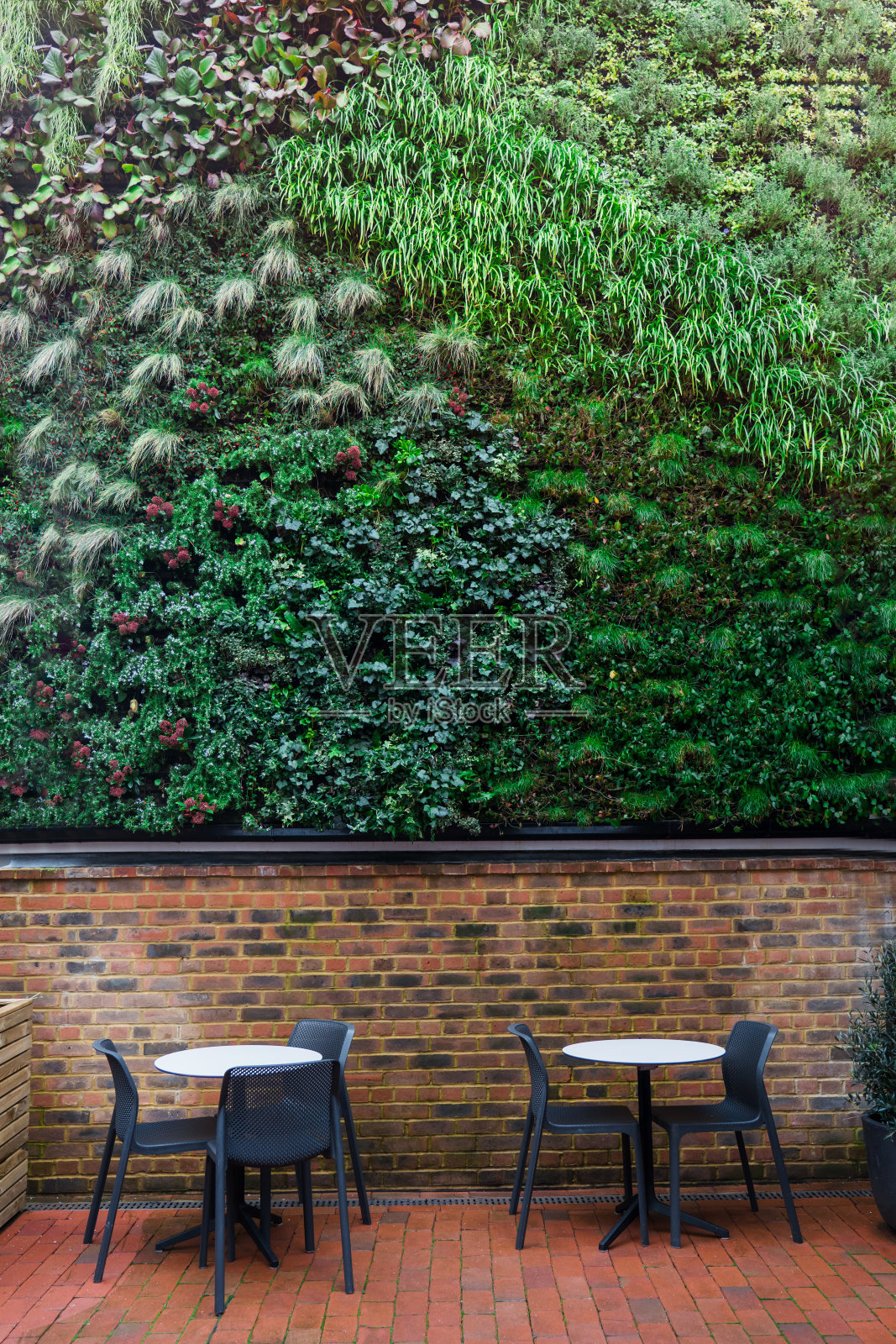 阁楼咖啡厅内部的绿色墙壁。生态建筑。城市环境中的生态与绿色生活。覆盖着绿色植物的外墙。抽象的背景。垂直的名片。照片摄影图片