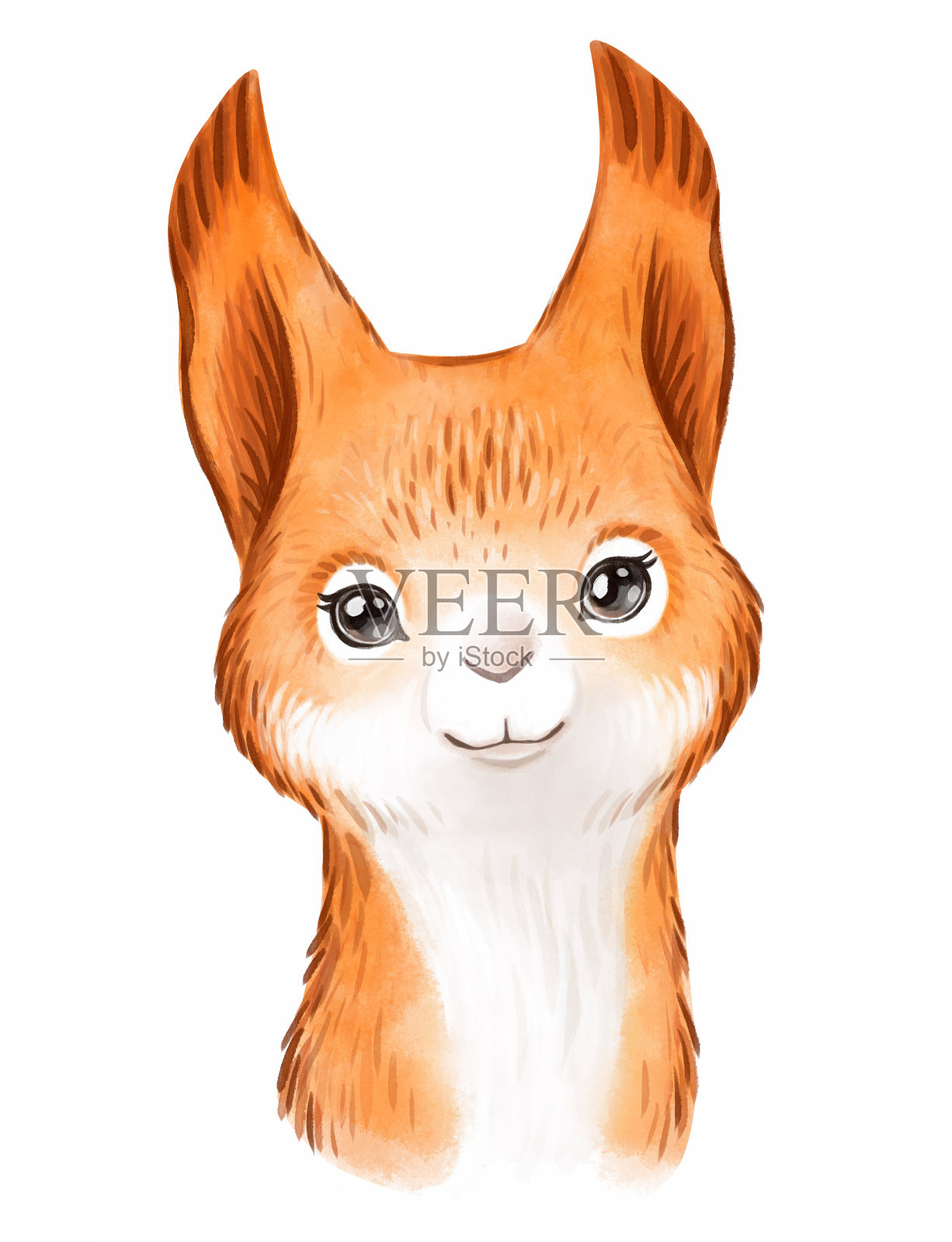 可爱的松鼠脸水彩手绘插画。林地动物肖像。设计元素图片