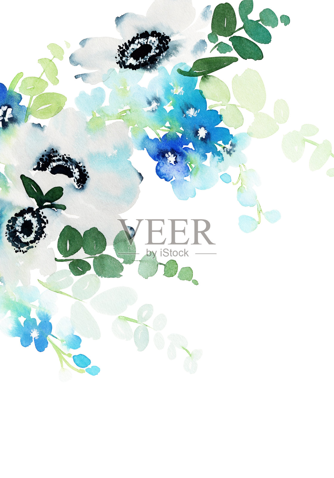 水彩画卡与海葵在白色的背景为婚礼请柬。插画图片素材