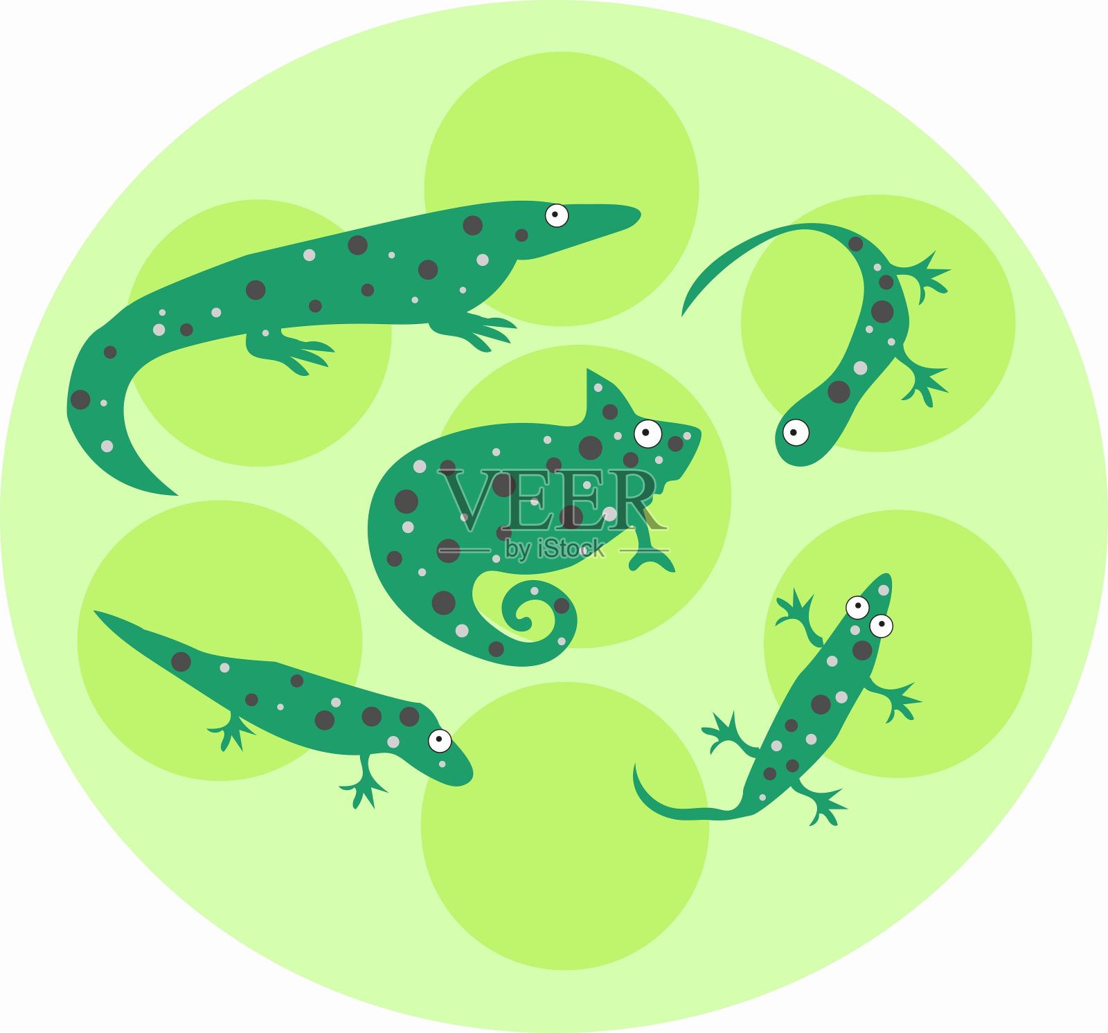 明亮的绿色蜥蜴在带有圆圈的浅色背景上设计元素图片