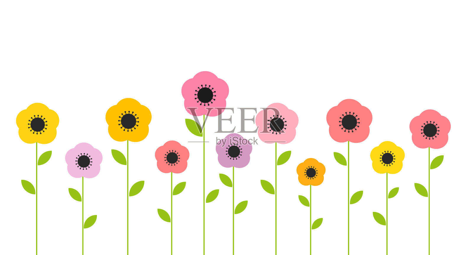 彩色的夏天的花。插画图片素材