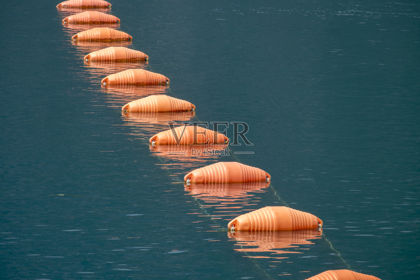海湾里养殖贻贝用的浮标照片摄影图片